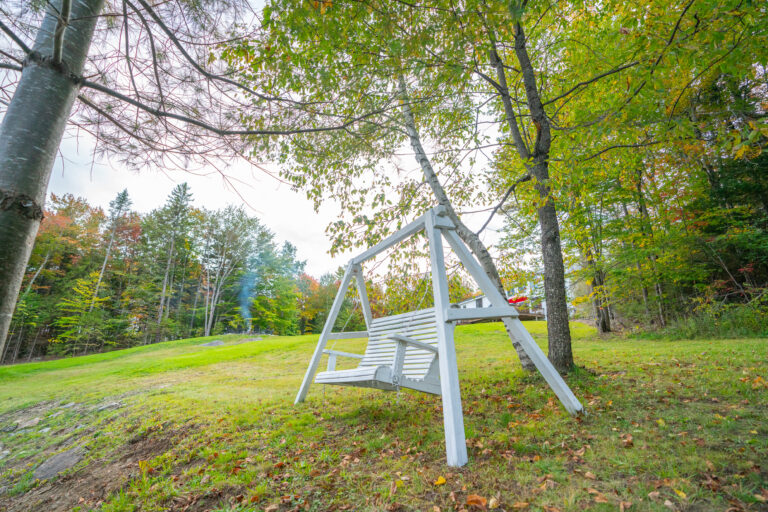Cozy swinging chair overlooking the pond
