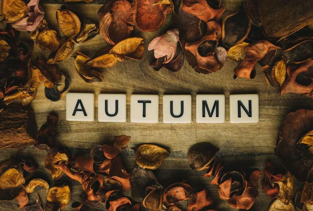 autumn word surrounded with leaves