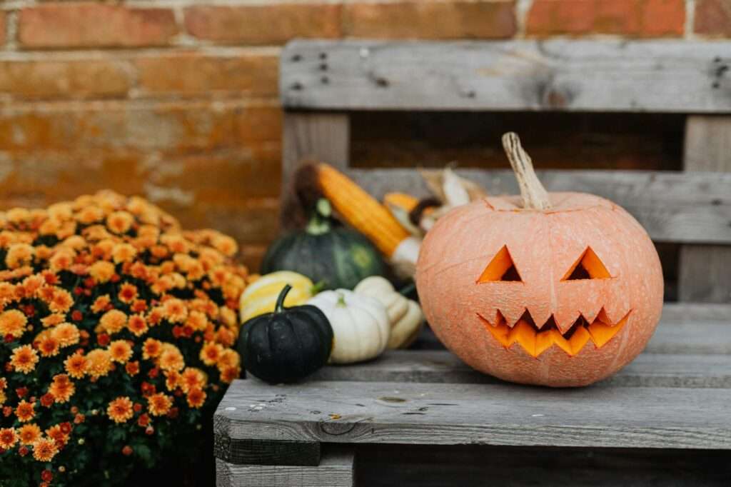 jack o lantern on a wooden bench
